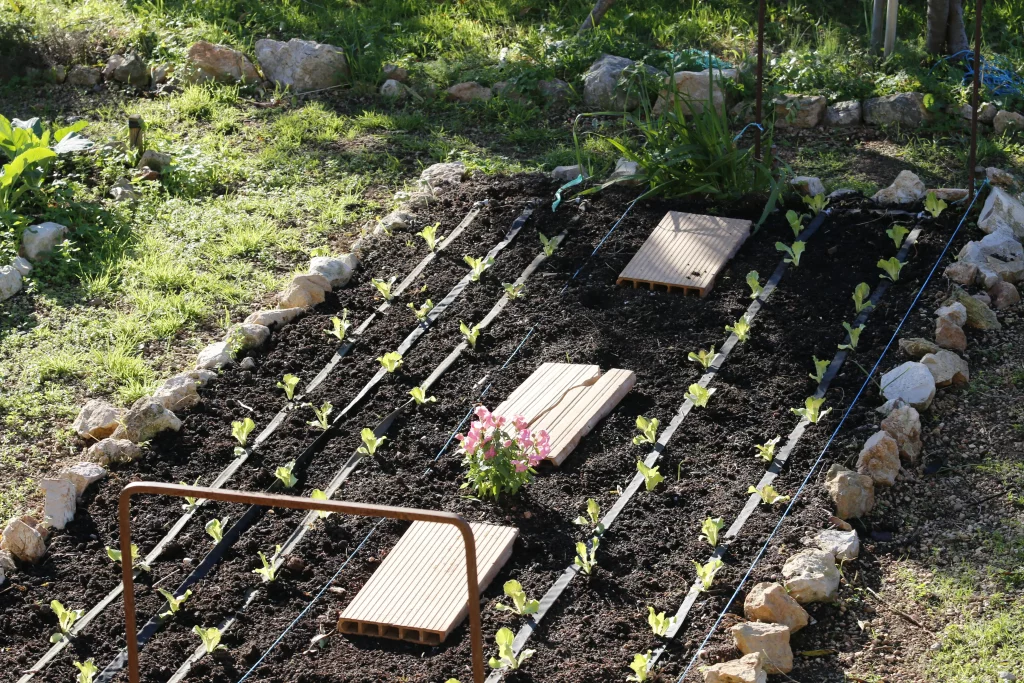 verduras para el restaurante vegano en mallorca más antiguo